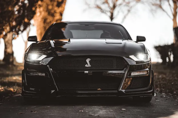 Pure Casino Aplicación Android/iOS